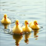 Vrolijk aftelrijmpje